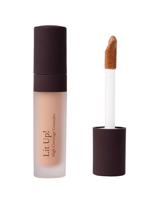 Lit Up! High Coverage Concealer