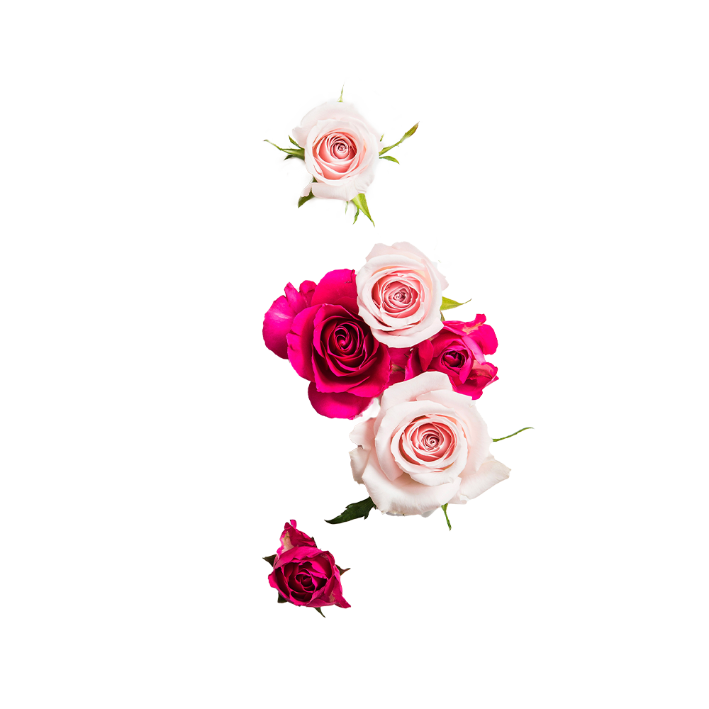 Rosewater Pomegranate Tonique + atomiseur rafraîchissant